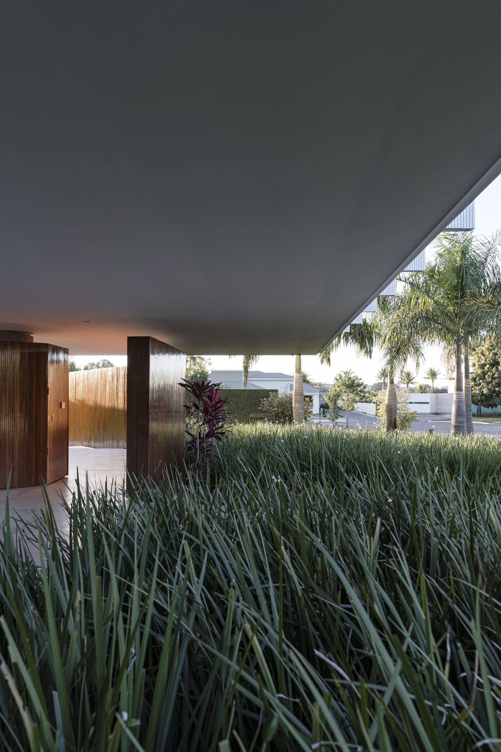 Under the dark soffit of the overhang, tall grasses and palms stretch out to the street.