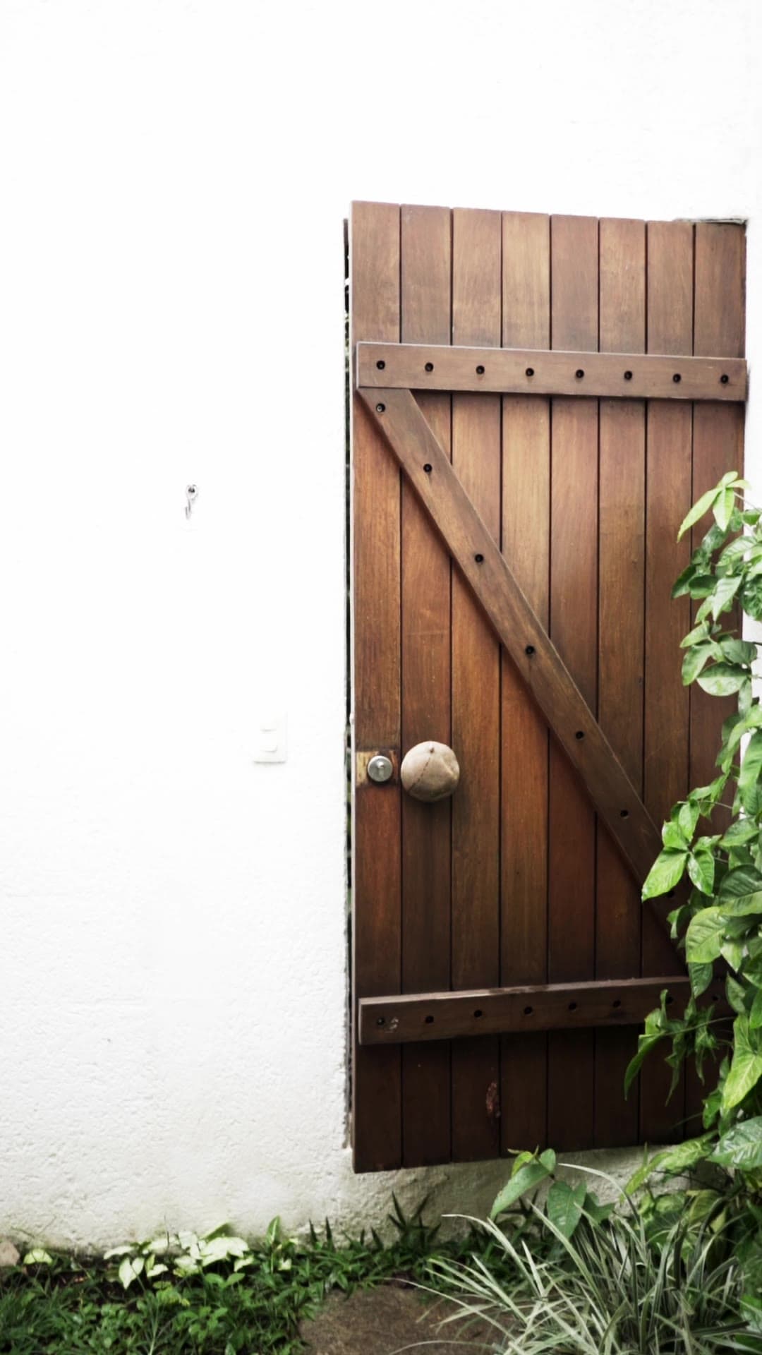 Casa da Mangueira — reel: a rustic timber door in a white wall, plants growing at its foot.