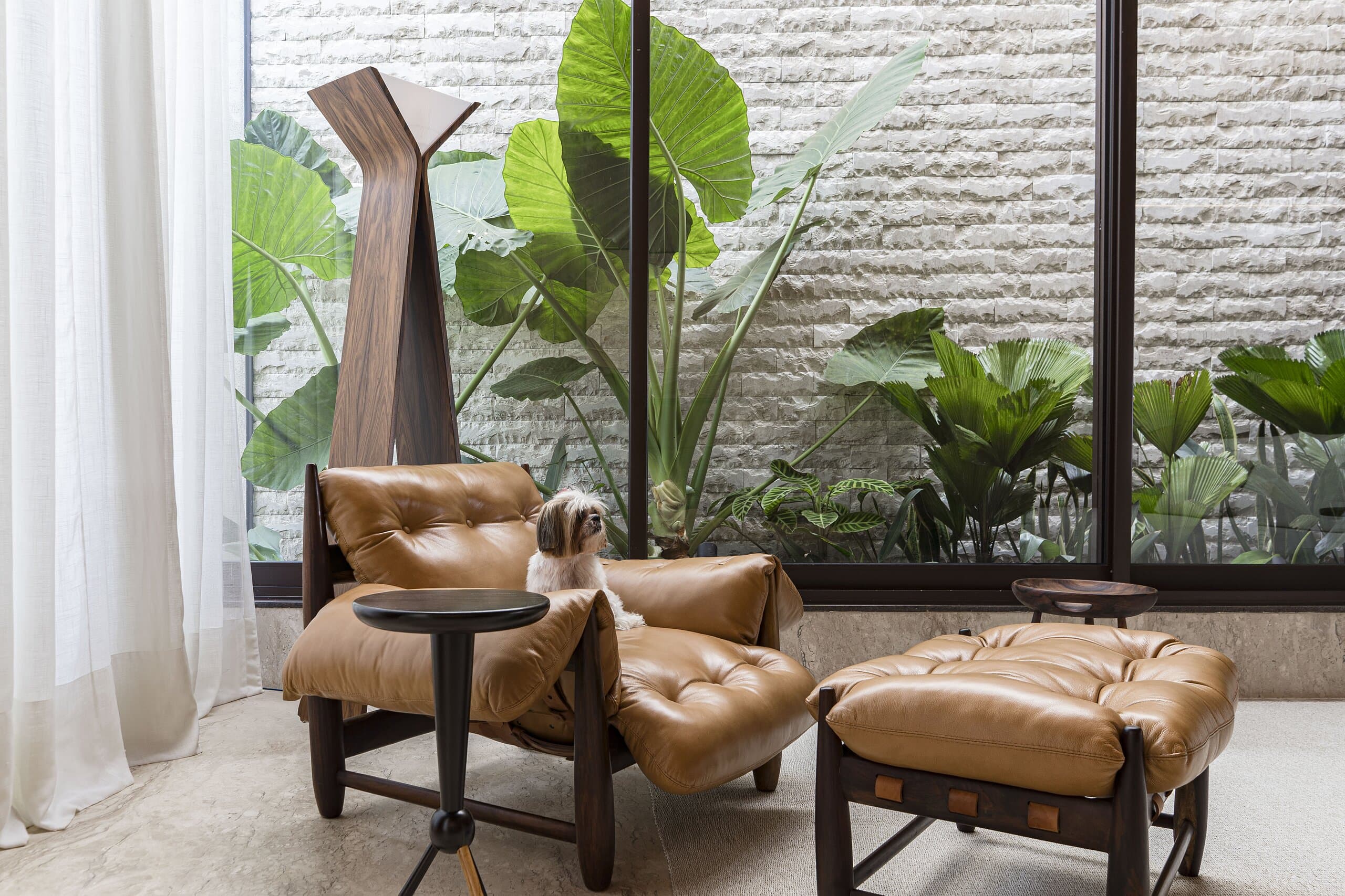 A leather armchair and footstool on a slender timber frame before a glass wall, tropical plants against white stone behind.