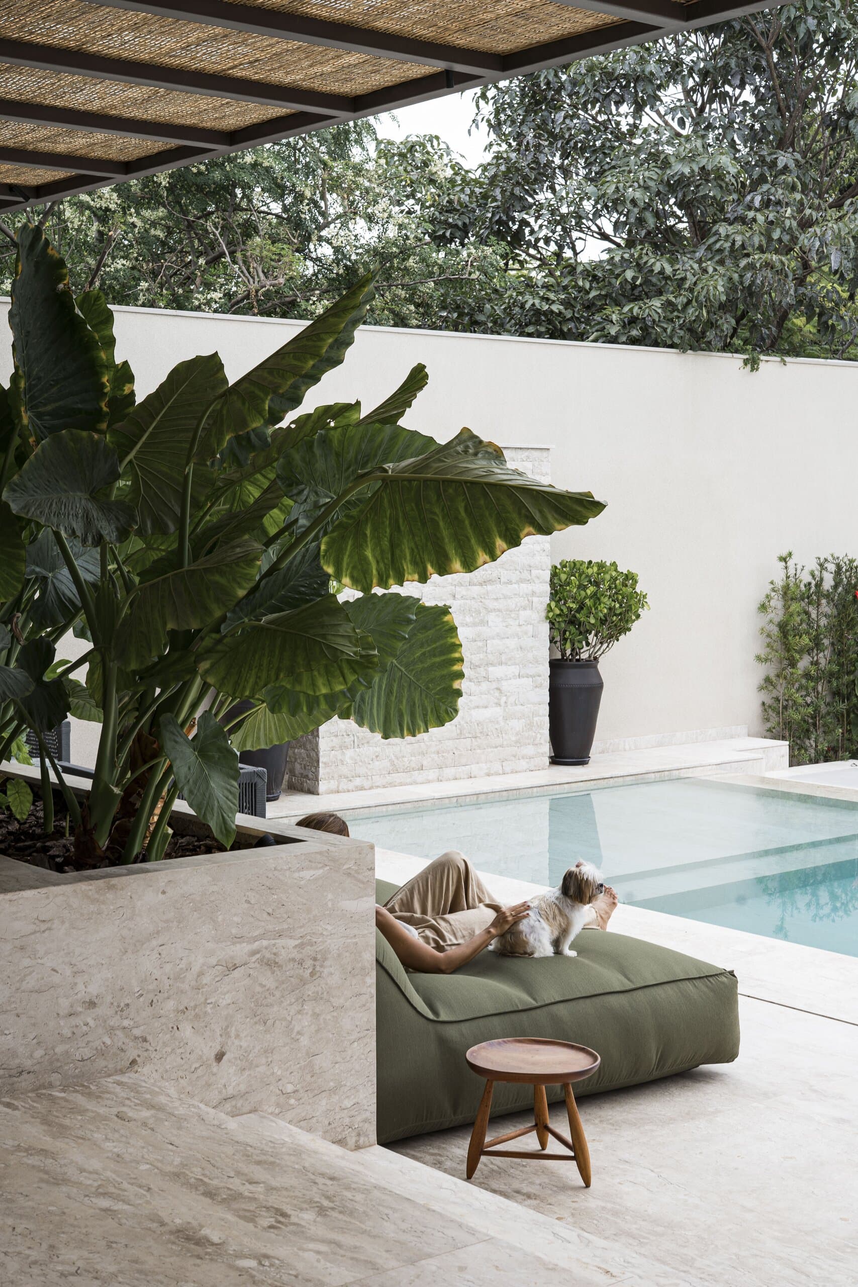 Beside the pool, someone lies with a small dog on a green cushion beneath large-leaved plants.