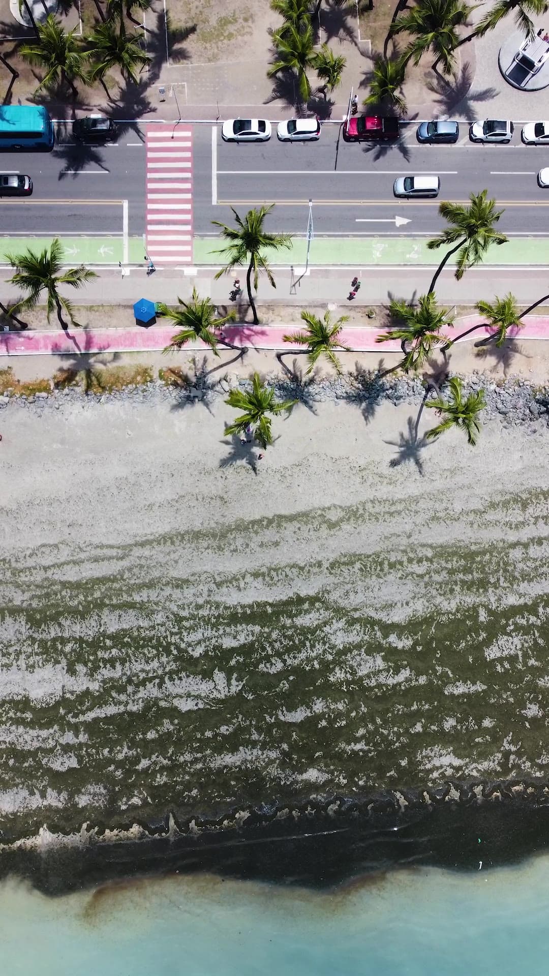 Maceió — um filme vertical que passa dos interiores do apartamento para o litoral lá fora.