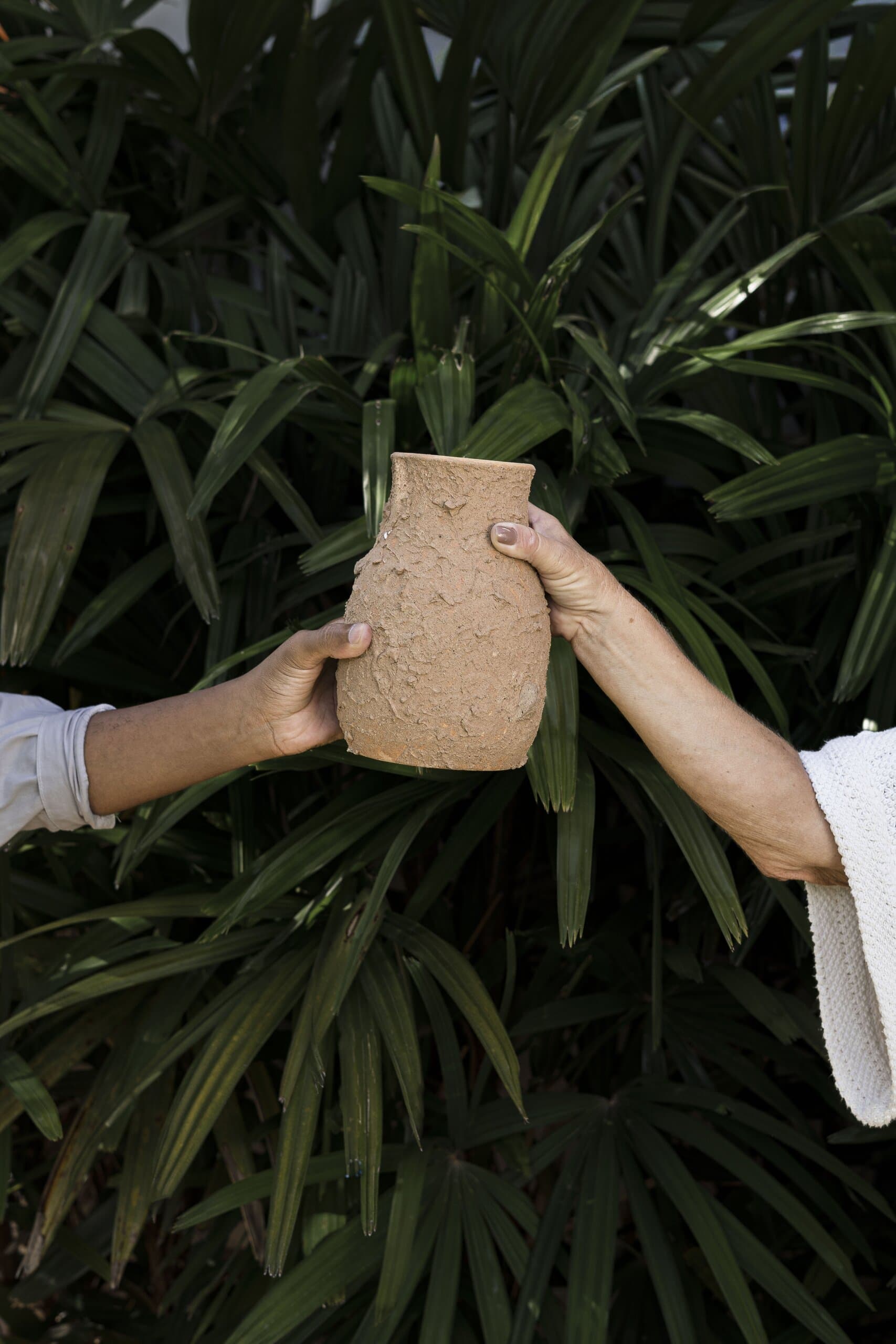 Two hands hold a textured clay vase out in front of dense, dark green palm leaves.