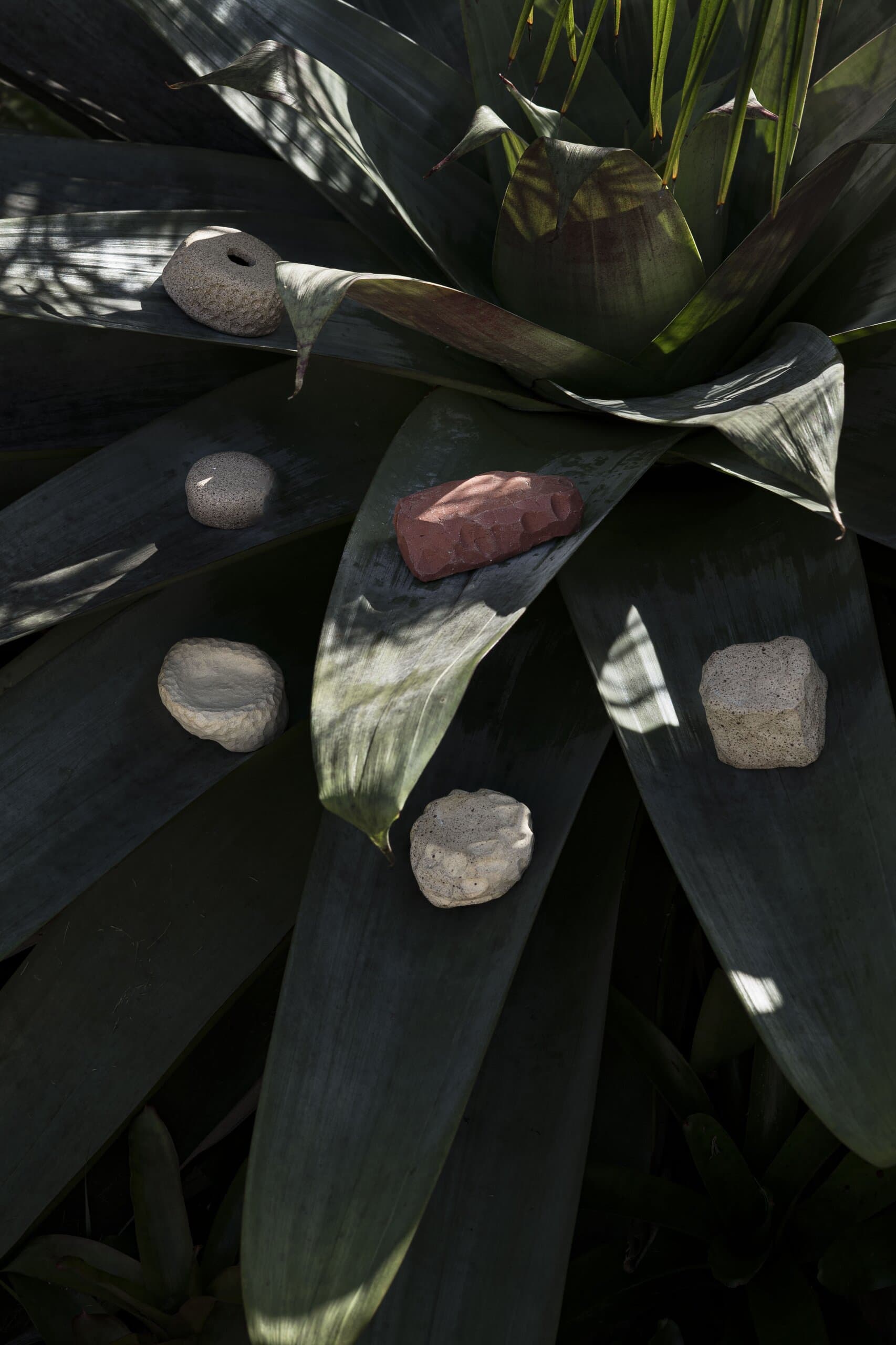 Small ceramic pebbles in clay, white and red resting on the dark leaves of a bromeliad.