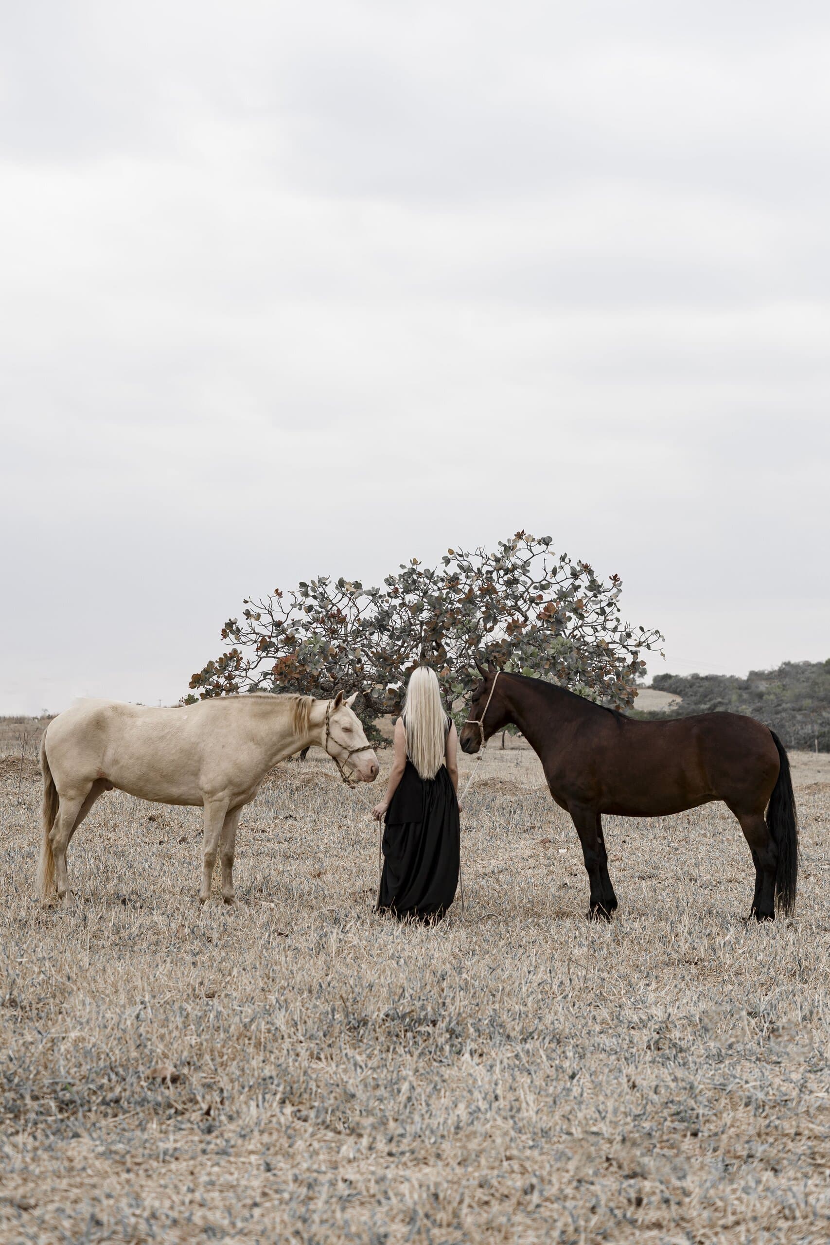 A woman in black stands between a pale horse and a dark horse in a dry pasture, a flowering tree behind.