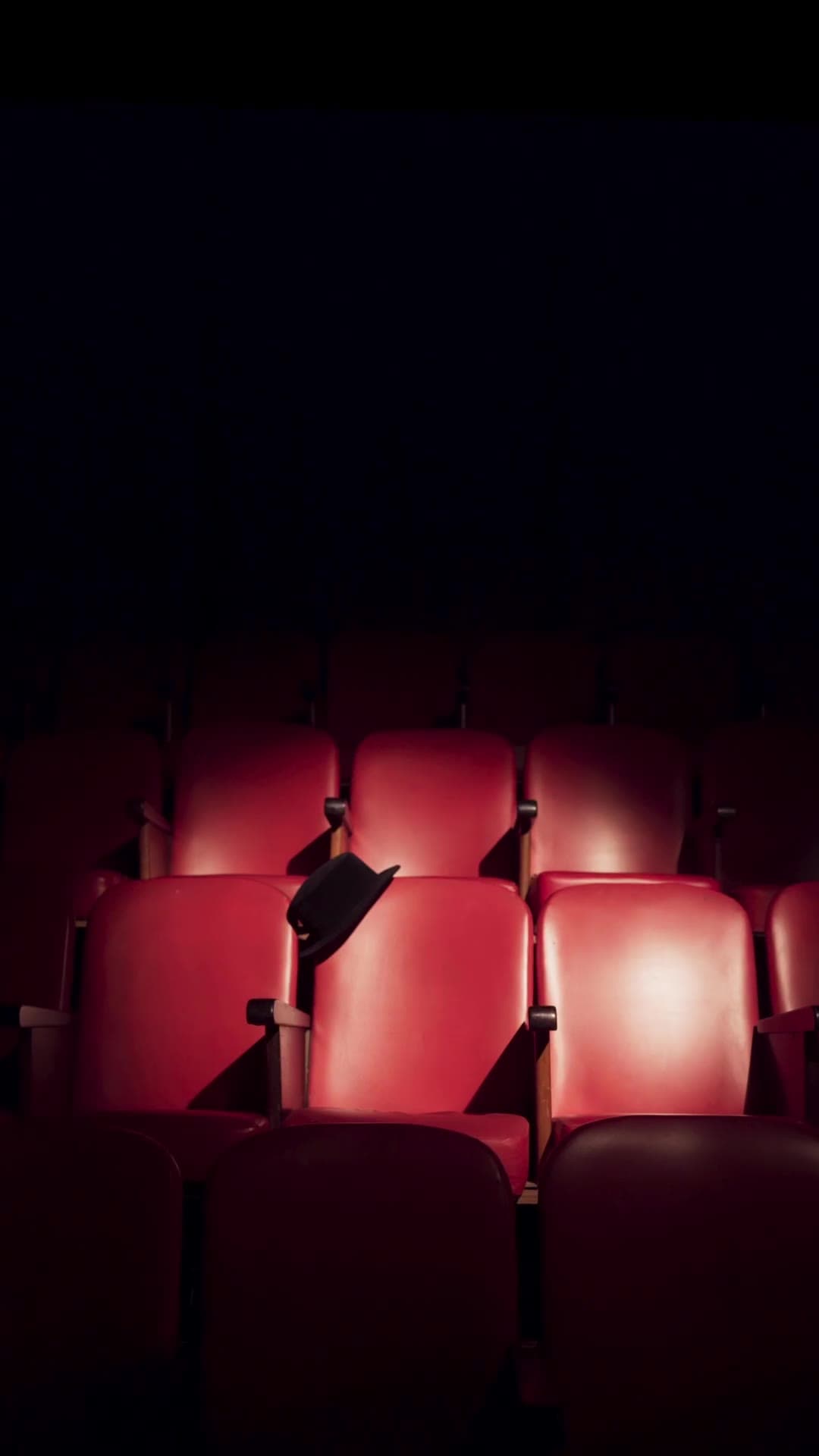 Palco — the film, shot in the theatre.
