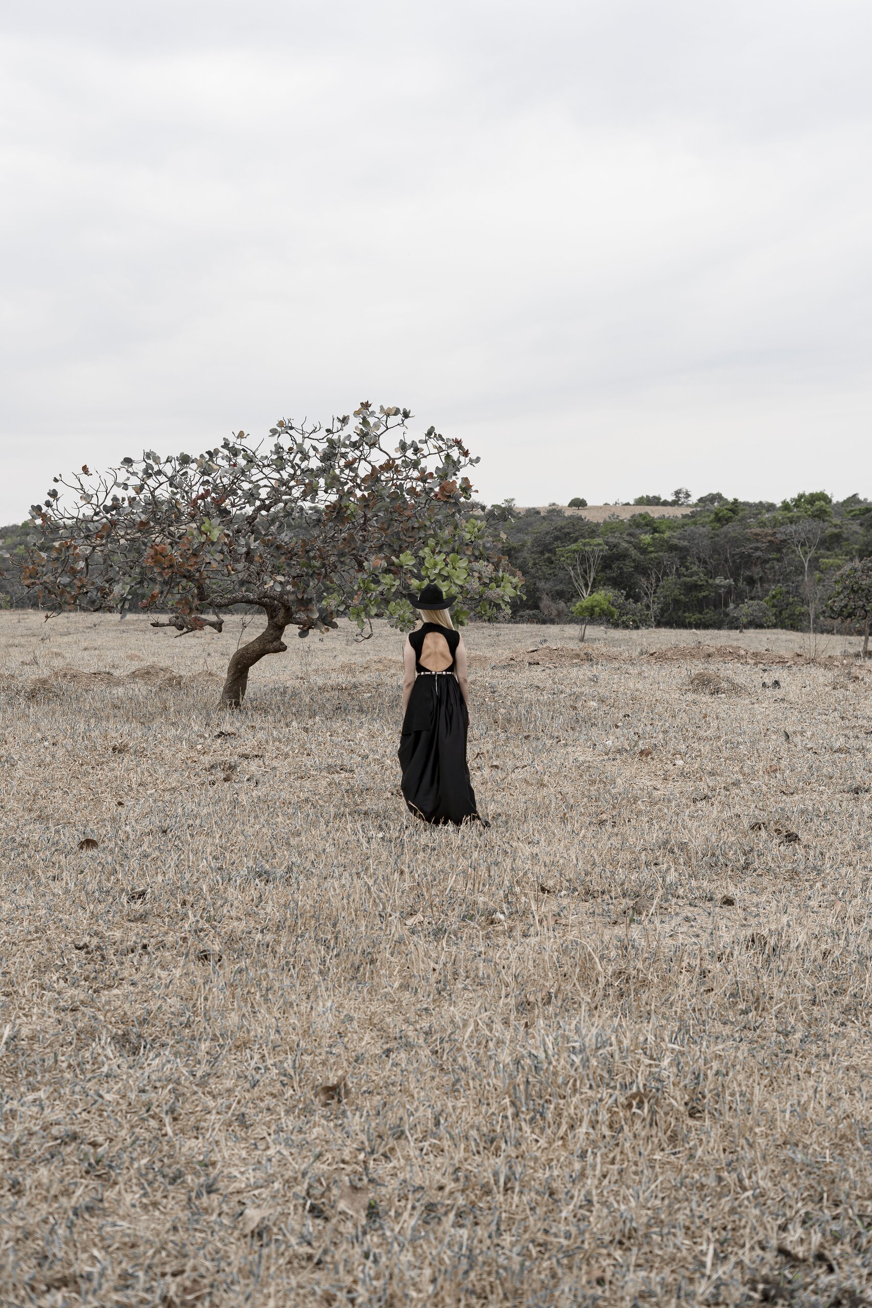 In a dry pasture, a woman in a backless black gown stands alone near a low, spreading tree.