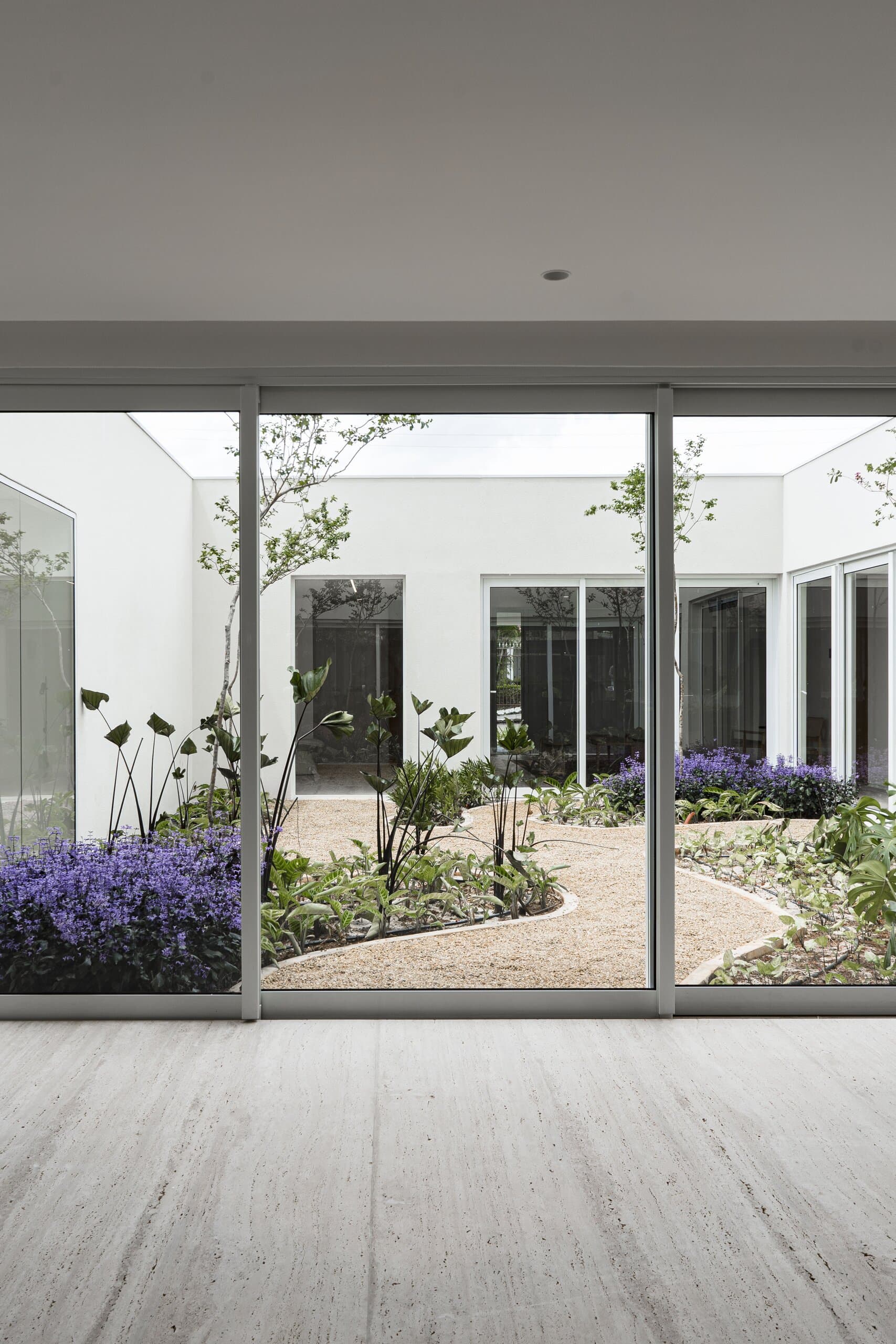 Through floor-to-ceiling glass: a white courtyard of gravel paths, lavender and slender trees.