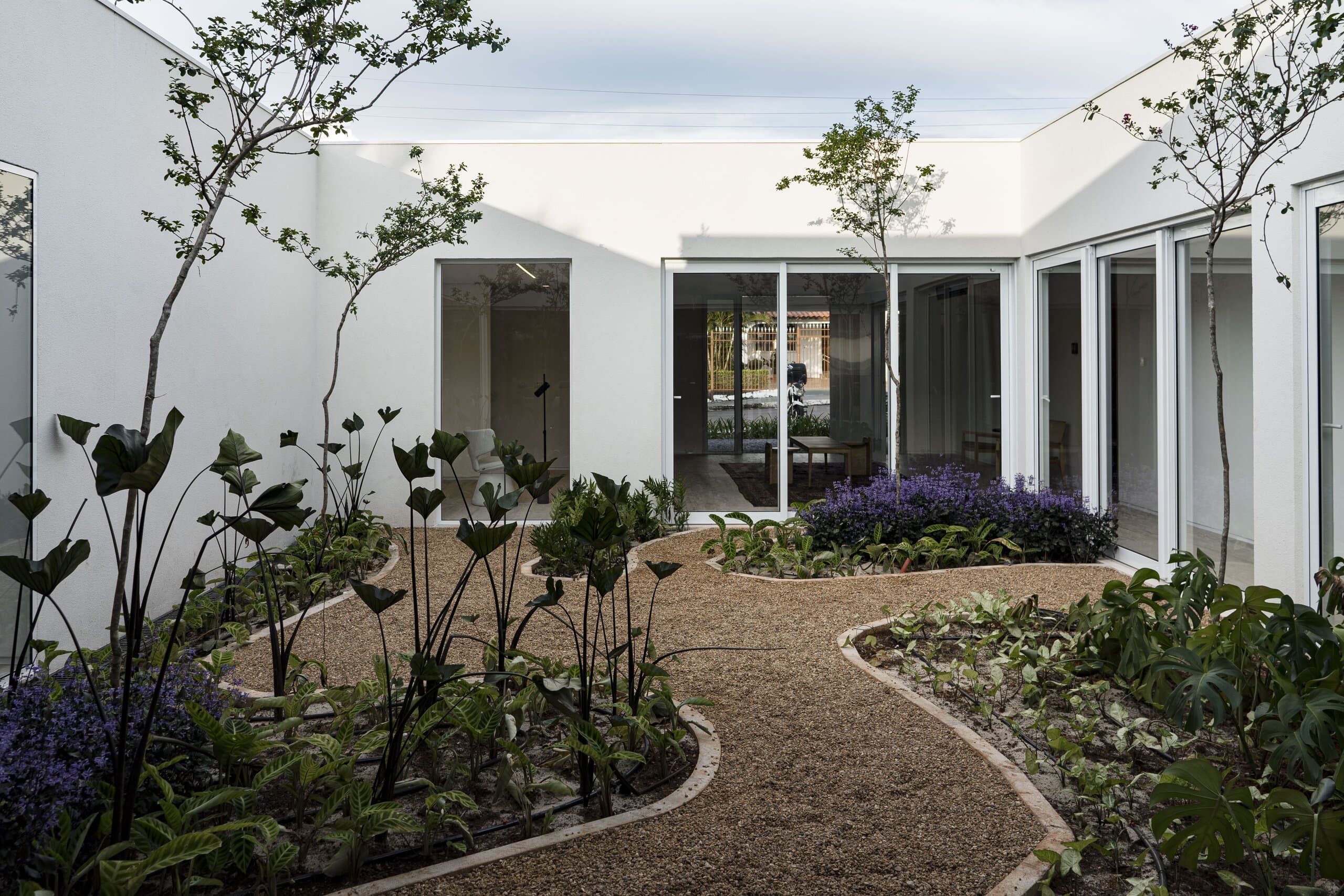 The inner courtyard: curving gravel paths, dark-leaved planting and slim trees against white walls and glass.