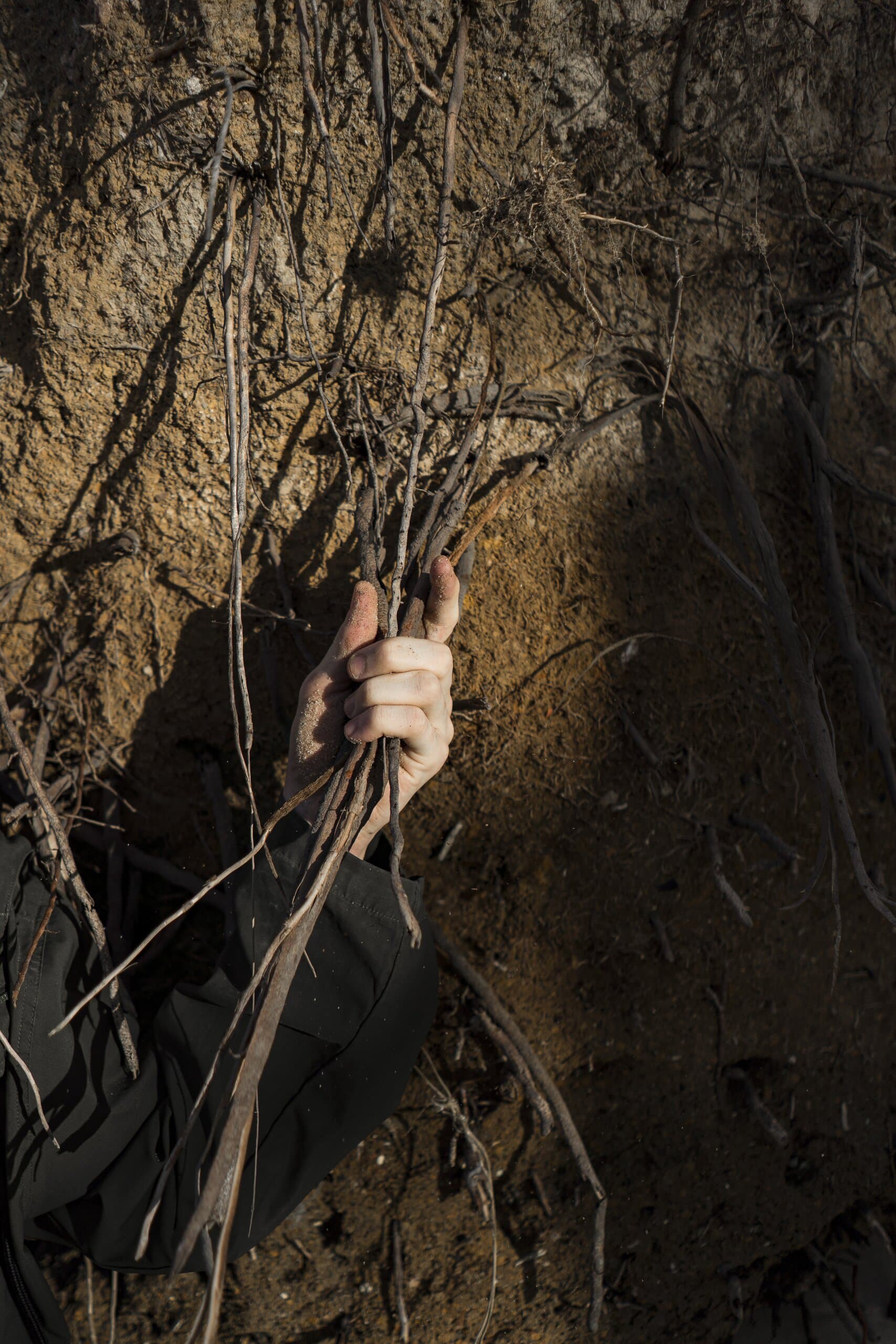 A hand grips roots and earth on a steep bank.