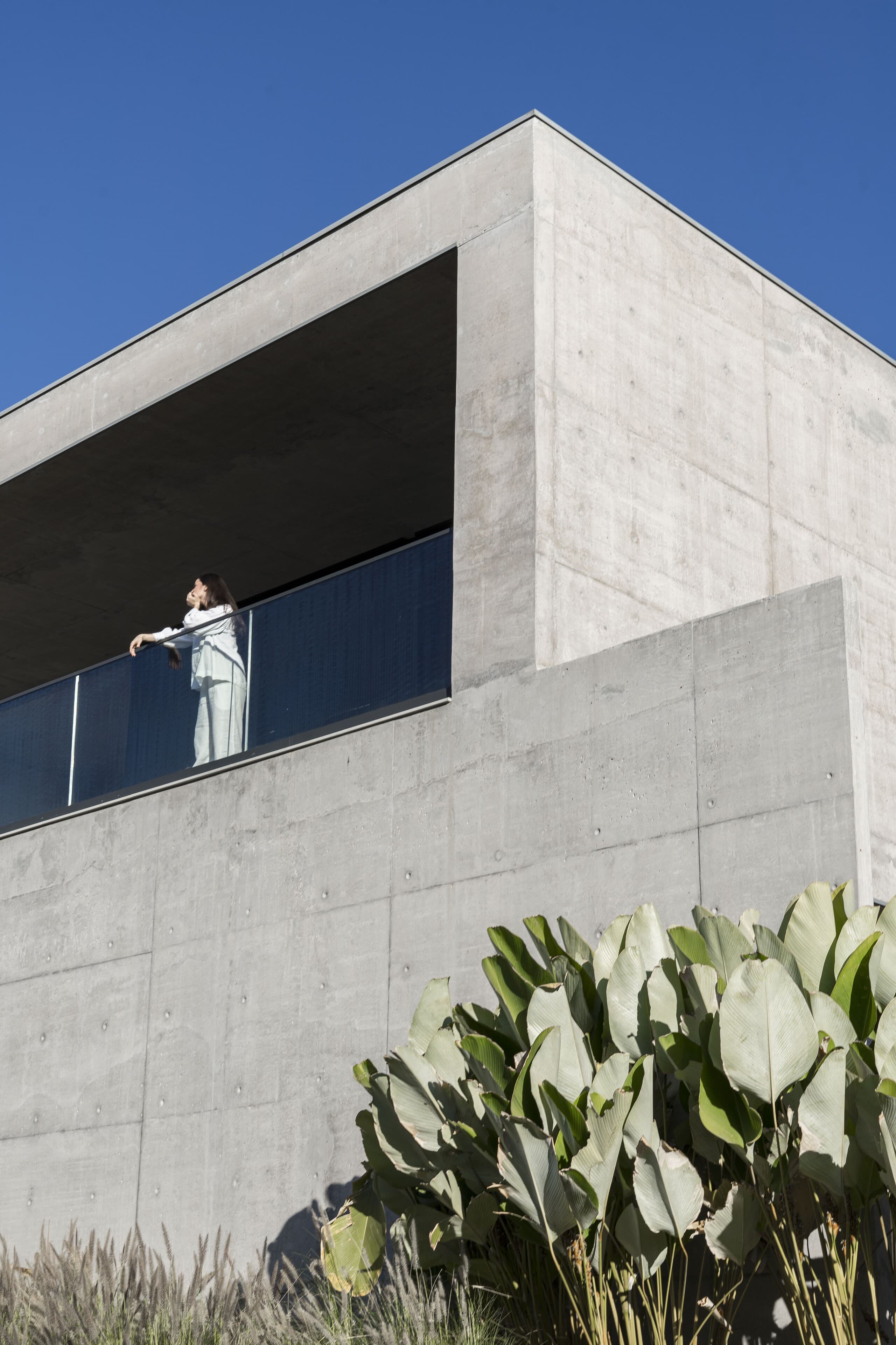 The upper floor against a deep blue sky: a figure at the glass balustrade above dense planting.