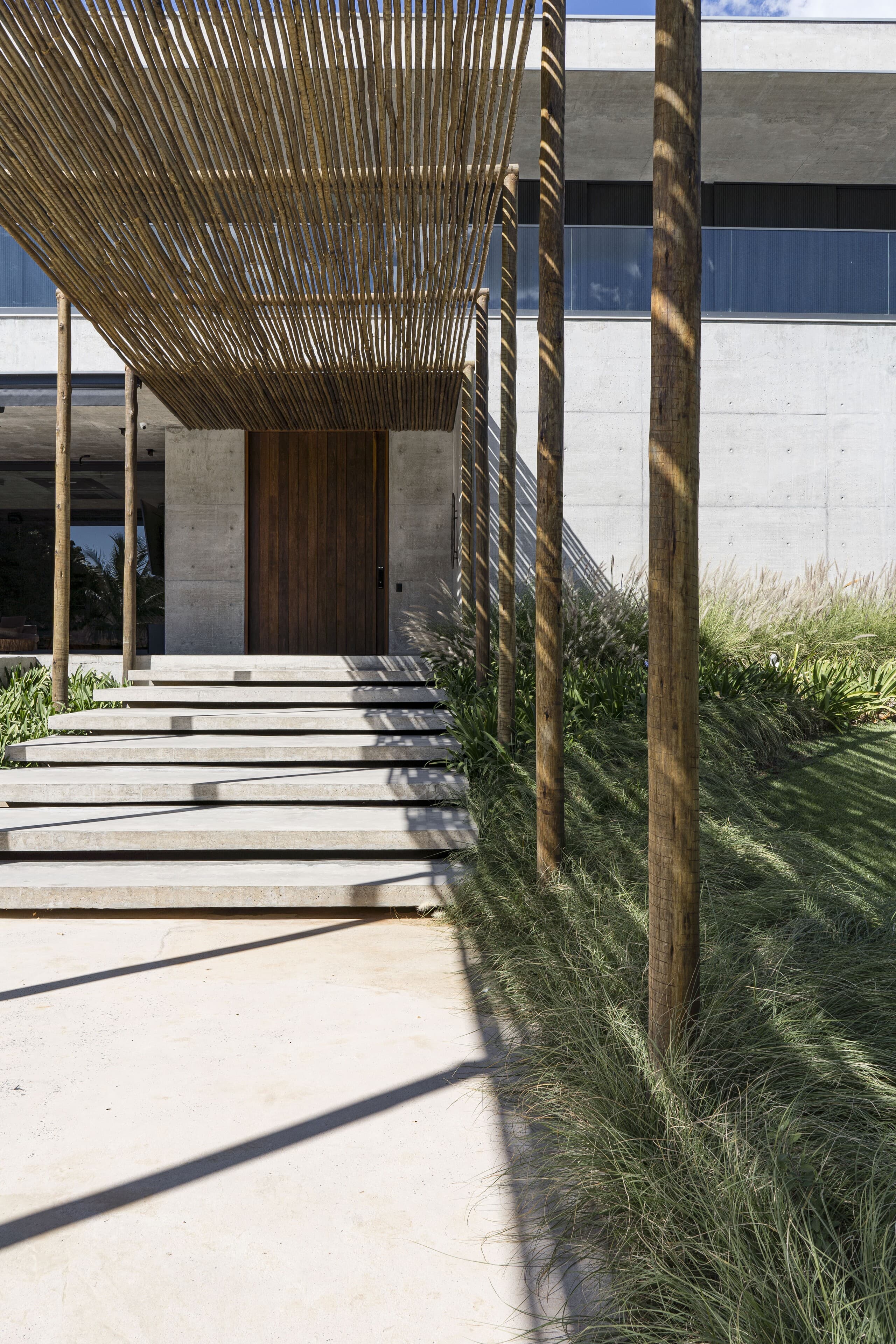 Concrete steps beneath the pergola of branches, long grasses on either side.