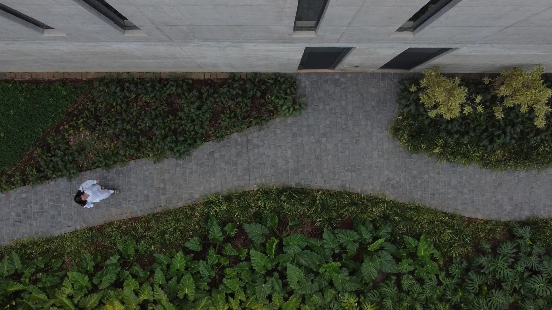 SJ House — the project film: the house, its light and the life around it.